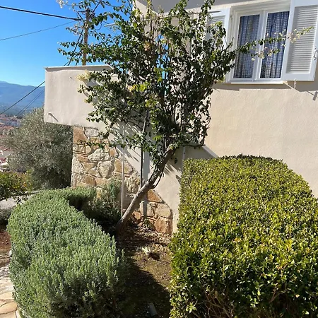 بيت للعطل Tranquility House Astros *
