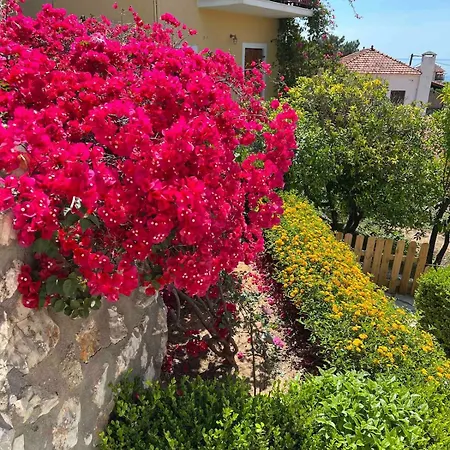 Holiday home Tranquility House Astros Paralio Astros