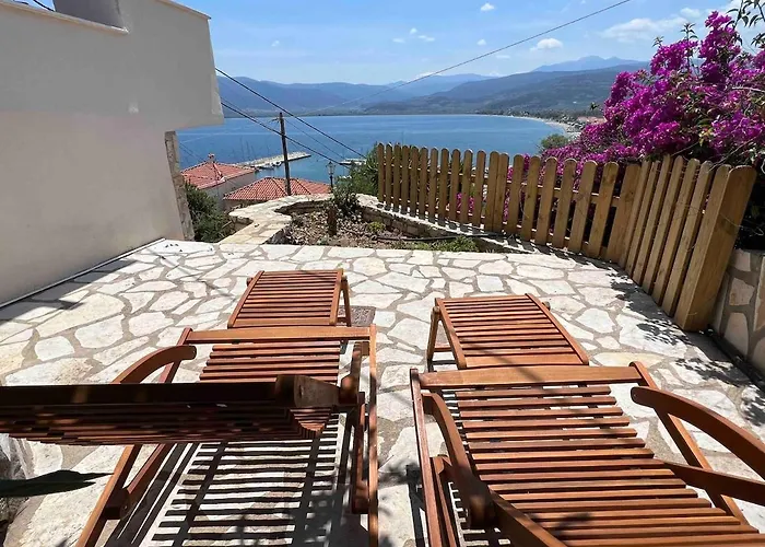 Tranquility House Astros