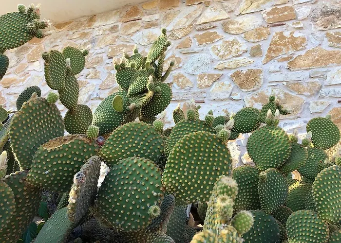 Tranquility House Astros Parálion Ástros